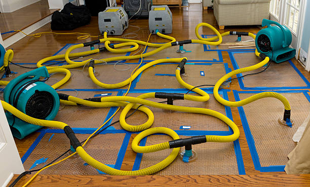 Professional Storm Water Damage Restoration technician working in Darlington, PA